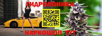 гашик Будённовск