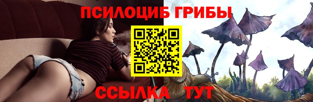 Галлюциногенные грибы мицелий Малгобек